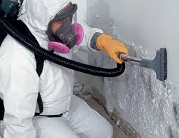 Best Mold Prevention Services  in Robert Lee, TX